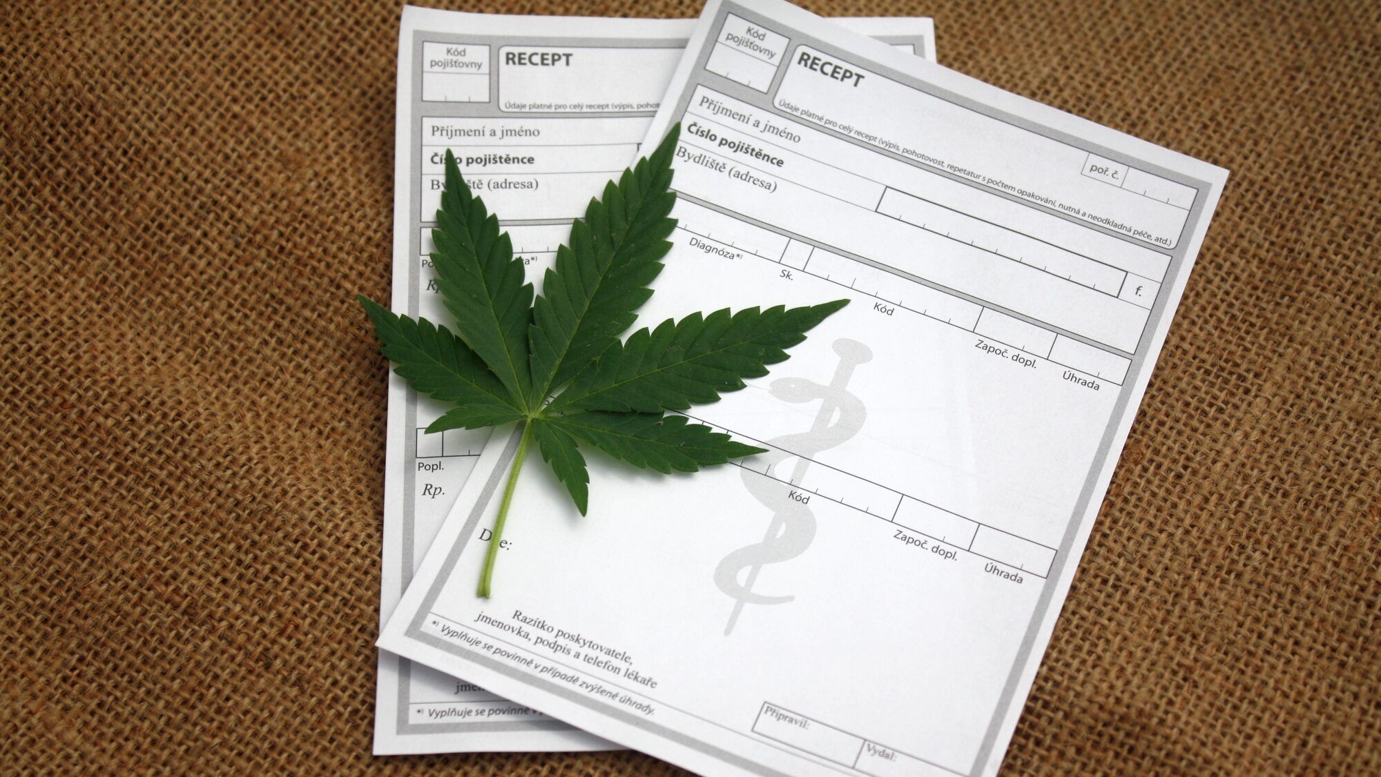 Dispensary information and operating hours in Philadelphia PA